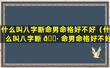 什么叫八字断命男命格好不好（什么叫八字断 🌷 命男命格好不好呢）